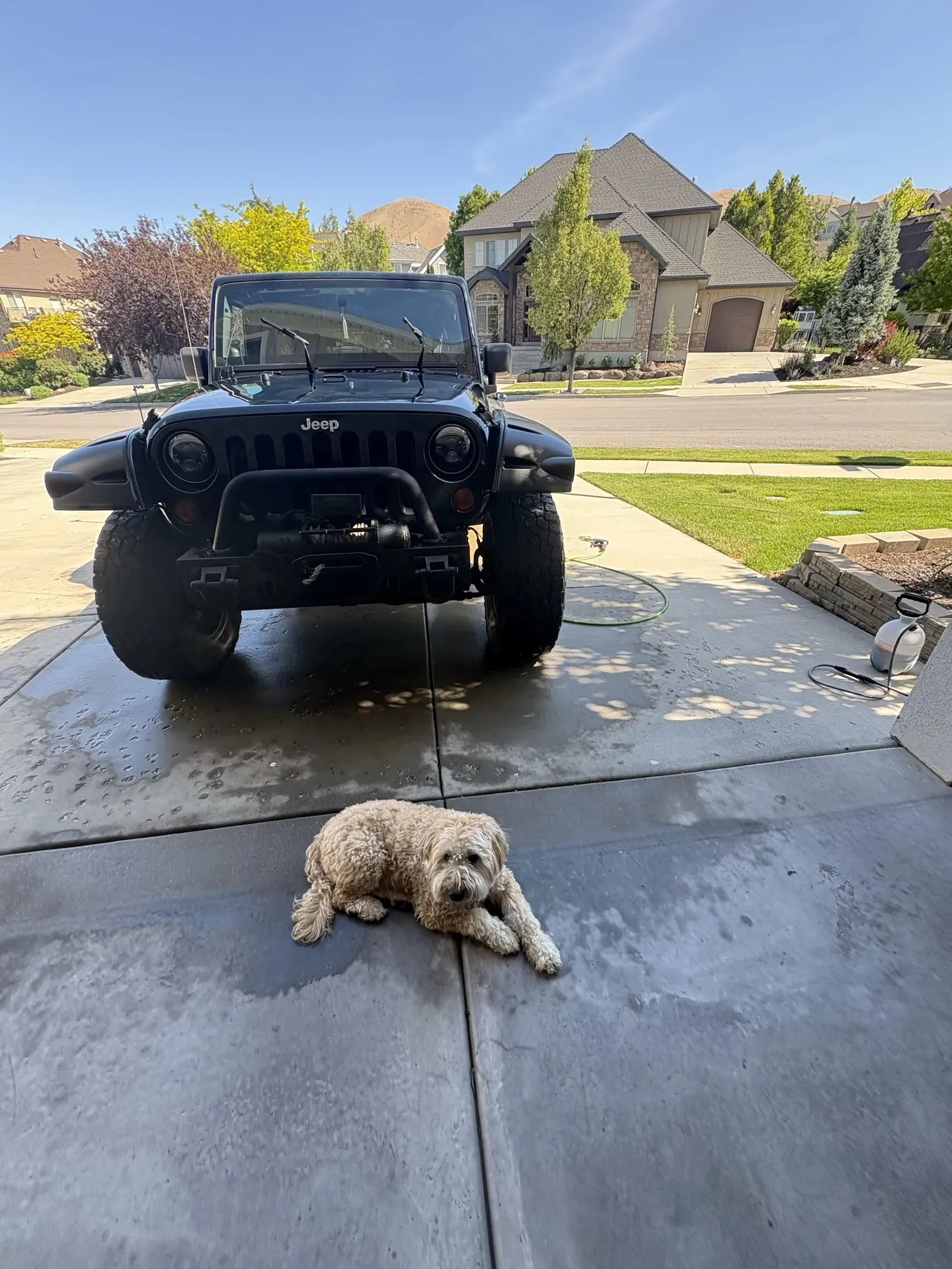 Bountiful mobile detailing exterior results